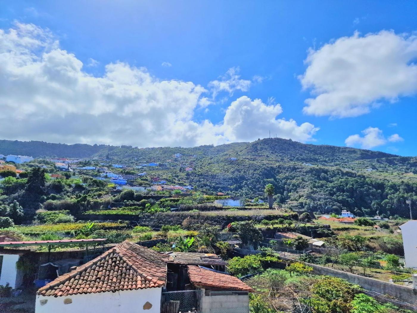 Cozy House Casa De Los Abuelos In Icod De Los Vinos By Hrtenerife Net Extérieur photo