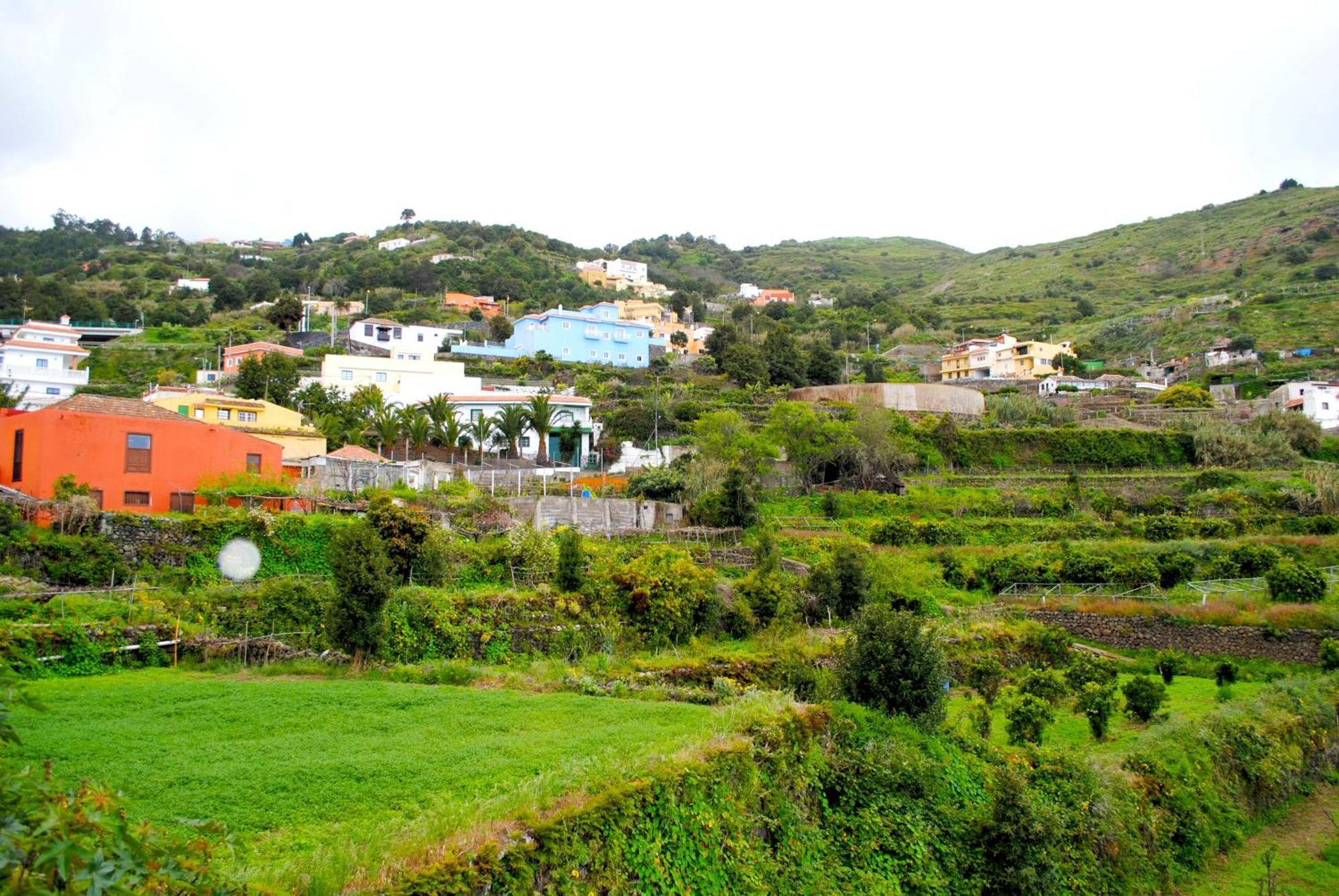 Cozy House Casa De Los Abuelos In Icod De Los Vinos By Hrtenerife Net Extérieur photo